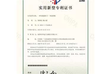 一种双绝缘转子一体成型机